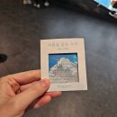 수채화B | 31주차 태교 : 여름을 닮은 우리 전시회 관람 후기