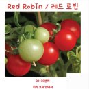 로빈 이미지