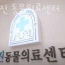 상암 진 동물의료센터 | 마포구 상암동 동물병원 상암 진 동물의료센터 위치 오는길 후기