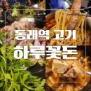 하루꽃돈