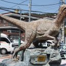 사림동117 이미지