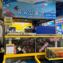 르노삼성자동차서비스코너상인점 | 가락시장 석화 사다 굴찜 해먹기 | 굴찌는 시간,시세정보, 가락시장 화장실 위치