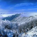 테마프라자 앞 이미지