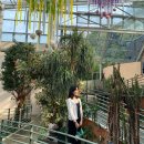 별무리하우스 | 경기도가볼만한곳 드라이브 하러 가기 좋았던 유니스의정원 보타닉하우스