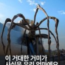 아트숲청담 이미지
