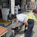 영화소리사