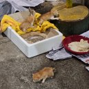 은주네포차 이미지