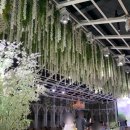 유통단지 전자관 앞 | 노비아갈라 전자관점 견적 주차 뷔페 대구 웨딩홀 투어 후기