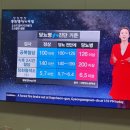 자모약국 네이버블로그