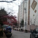 남현동-41 이미지