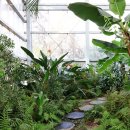 대청역 공영노외주차장 이미지