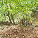 인제도서 이미지