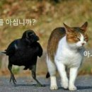 새로나침구 - 광진구 아차산로29길 56 | 새로나침구