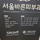 서울참피부과의원 이미지