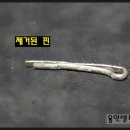 하이카동백점 이미지