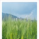 서항근린공원 이미지