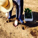 근원농장 이미지