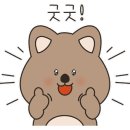 베스트 크린 세탁 이미지
