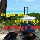 알로하하와이바베큐 이미지