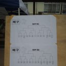 제13회(2015년) 예덕초등학교 총동문 모교사랑 체육대회(1) 이미지