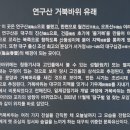 대구제일중학교 이미지