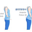 조이무브먼트 이미지