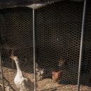 소소리농장 이미지