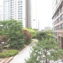 클래시아부동산중개사무소 이미지