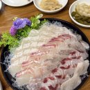 선도식당 | 가성비 좋은 교대역 횟집 선도 내돈내산 싱싱하고 맛있어!