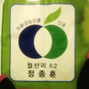 월은농장 Daum카페