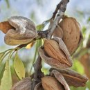 김인호농장 이미지