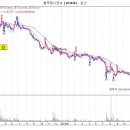 미주디앤씨 네이버블로그