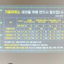 표선면사무소 이미지