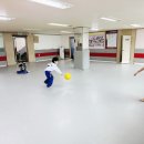 서진태권도 이미지