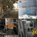 여시농장 이미지