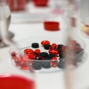 서귀포공공협력의원 | 서귀포시가 약사님을 애타게 찾아요! 연 4800만원 지원, 농촌 약국 주인이 되어주세요