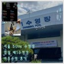 잠실 제1수영장 | 서울 50m 수영장 잠실제1수영장 토요일 자유수영 후기(공사일정10월까지 운영)