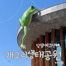 담양에코센터 | 담양 개구리생태공원 아이와 가볼만한곳 에코센터 후기