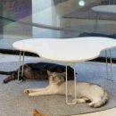 집사의 하루 건대점 | <집사의 하루 건대점> 다다냥선