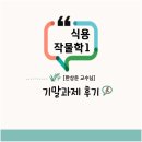 〔방통대〕 🌱식용작물학1 기말과제 만점 후기
