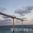 푸른파도 이미지