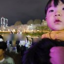 교구양곱창 | 청주 무심천 벚꽃축제 푸드트럭 위치 주차장 아이랑 후기