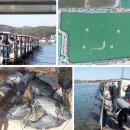 영흥바다낚시터 이미지