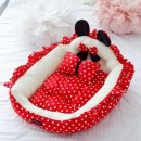 오로라펫 이미지