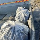 유광농장 이미지