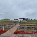 세종청사 9동 이미지