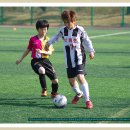 서산석림초등학교 이미지