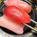 스시마니아 이미지