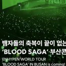 저 안 되는 줄 알았어요 하지만 됐어요(놀티켓 엔하이픈 콘서트 취켓팅 후기)