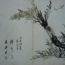 명선화원 이미지